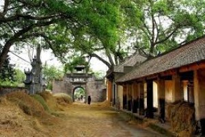 NGŨ HOÀNG ĐẠI SÁT - HÓA GIẢI SAO NGŨ HOÀNG SÁT