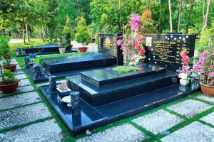 CÁC KIỂU KẾT HUYỆT TẠI VIỆT NAM